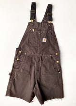 Load image into Gallery viewer, Carhartt Dungarees (M)