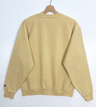 Load image into Gallery viewer, Champion American College Sweatshirt (M)