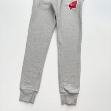 Load image into Gallery viewer, Champion Wisconsin Badgers Joggers (XS)