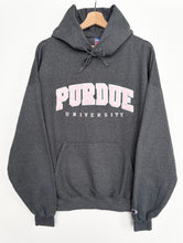Load image into Gallery viewer, Champion American College Hoodie (XL)