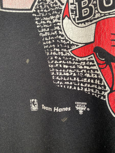 90s NBA Chicago Bulls Sweatshirt (2XL)