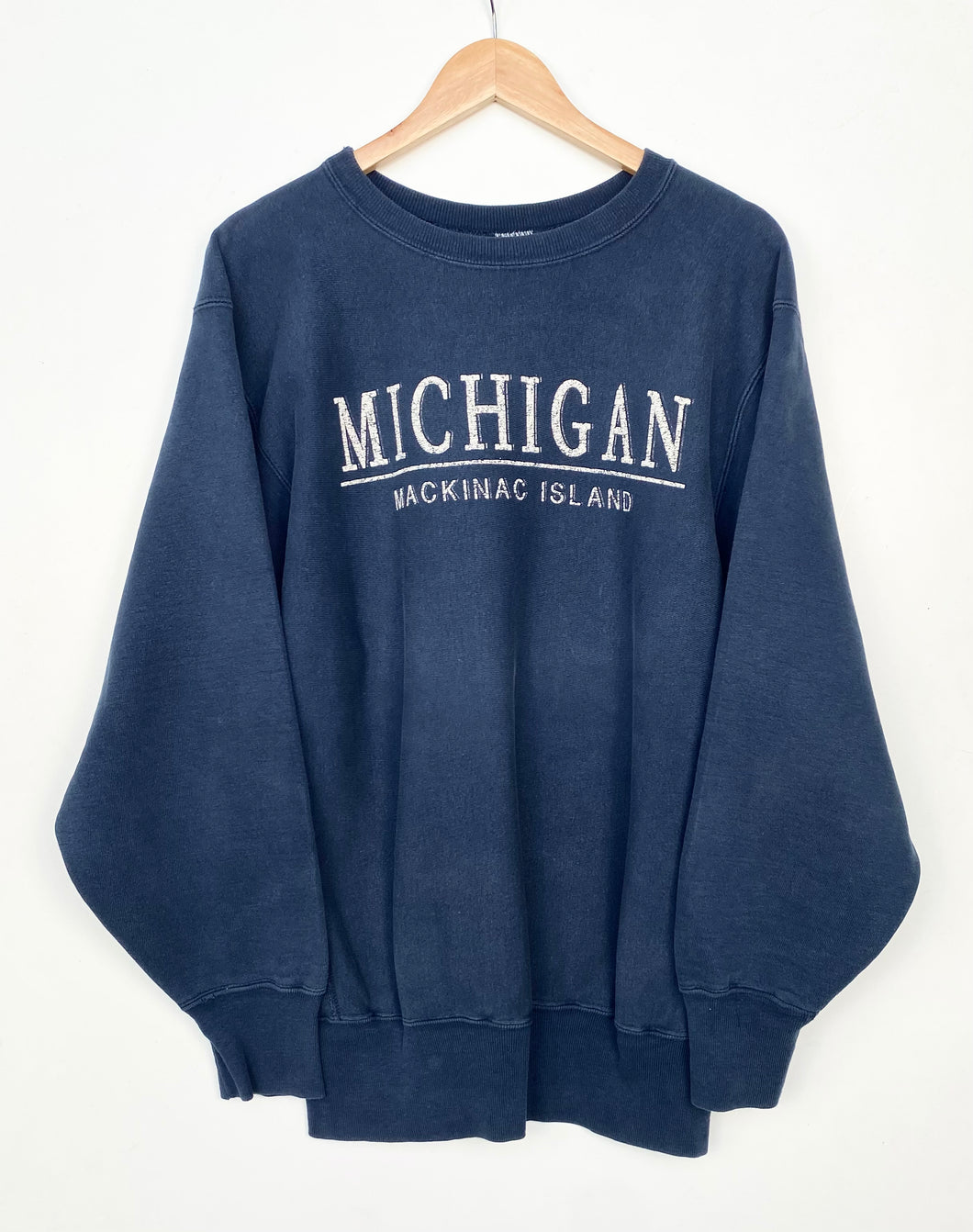 Champion Michigan Sweatshirt (M)