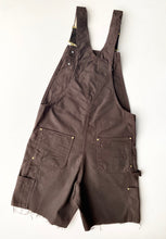 Load image into Gallery viewer, Carhartt Dungarees (M)