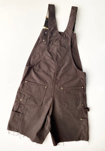 Carhartt Dungarees (M)