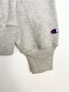 Champion Washington Hoodie (S)
