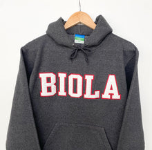 Load image into Gallery viewer, Champion American College Hoodie (XS)