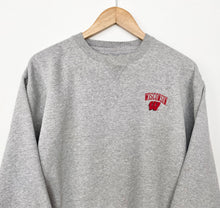 Load image into Gallery viewer, Wisconsin Badgers College Sweatshirt (S)