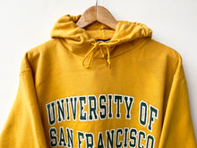 Load image into Gallery viewer, Champion American College hoodie (M)