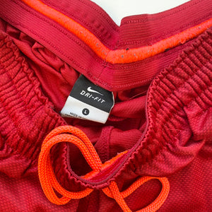 Nike Shorts (L)