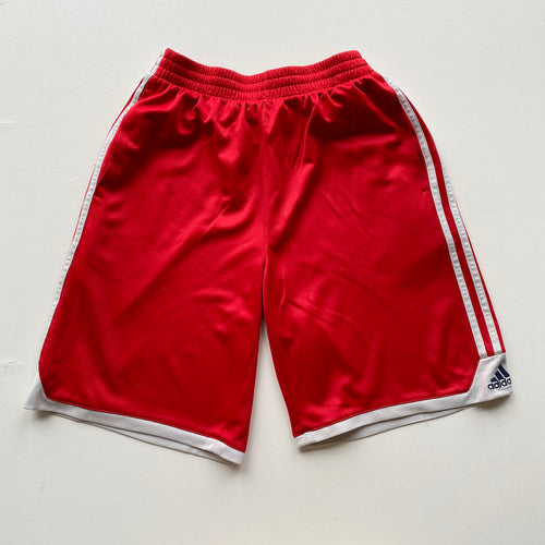Adidas shorts (L)