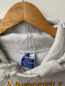 Champion hoodie (L)