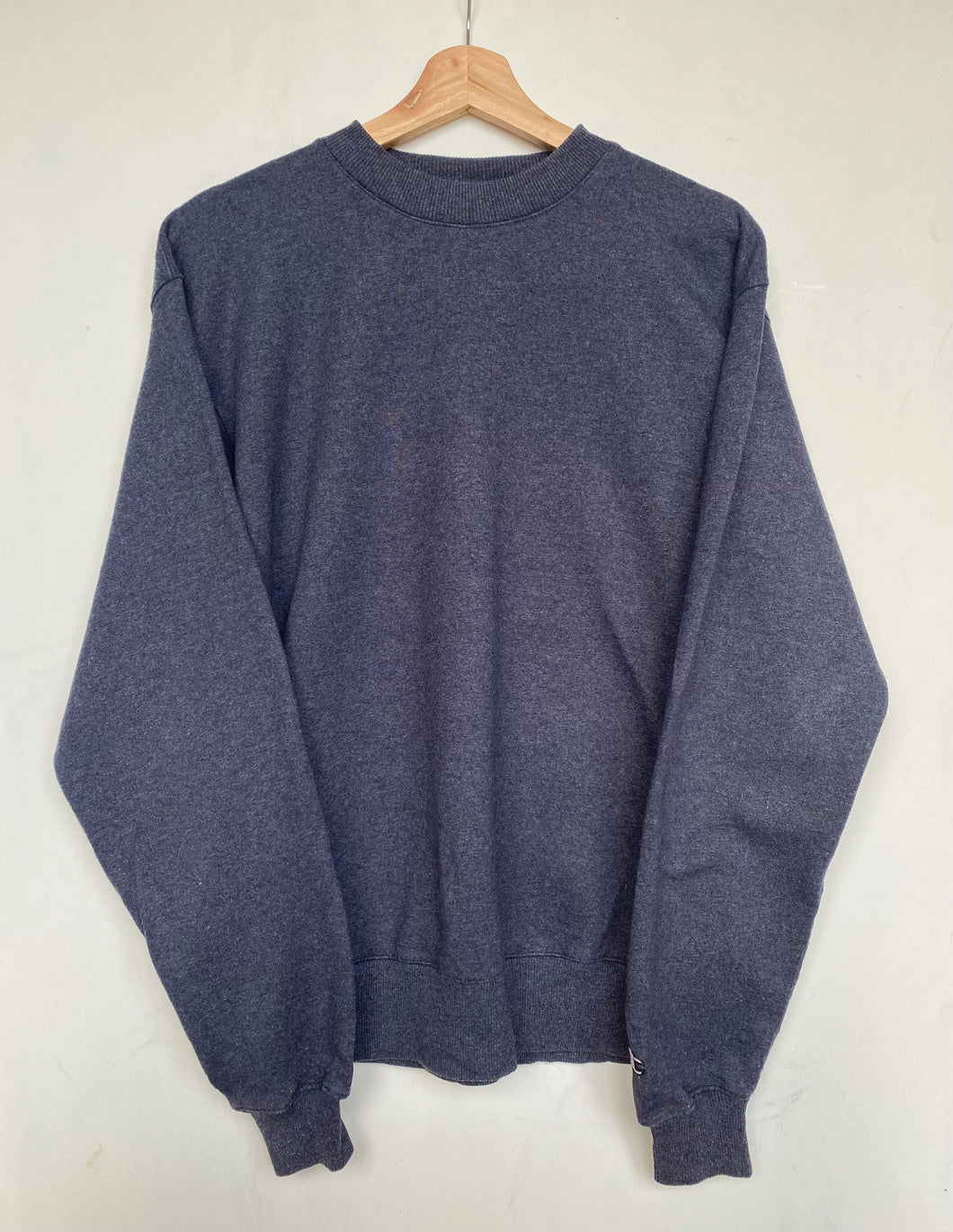 Champion sweatshirt (M)