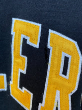 Load image into Gallery viewer, NFL Pittsburgh Steelers Hoodie (M)
