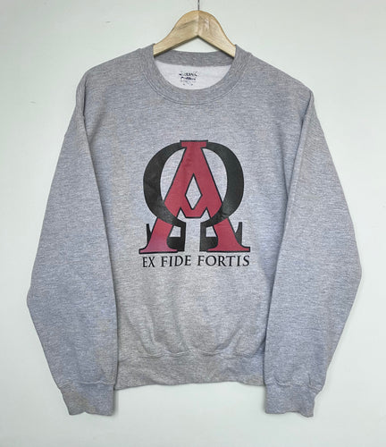 Printed sweatshirt (M)