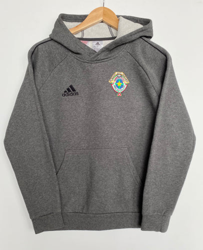 Adidas hoodie (XS)