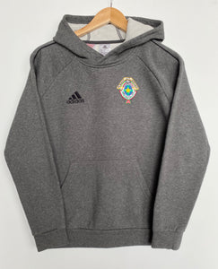 Adidas hoodie (XS)