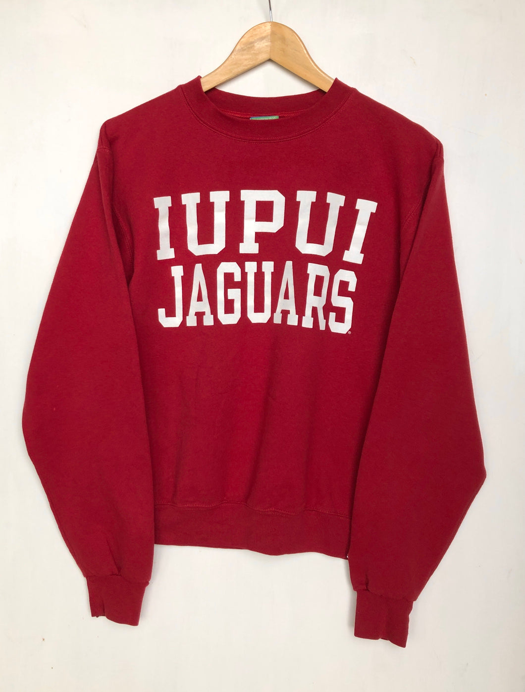 Champion sweatshirt (S)