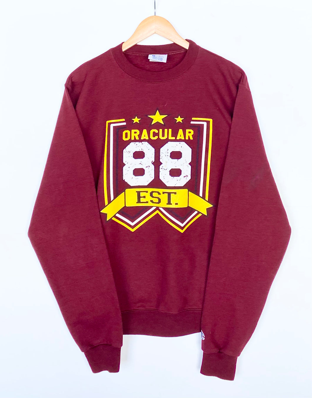 Champion sweatshirt (S)