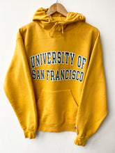 Load image into Gallery viewer, Champion American College hoodie (M)