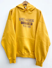 Load image into Gallery viewer, Champion hoodie (XL)